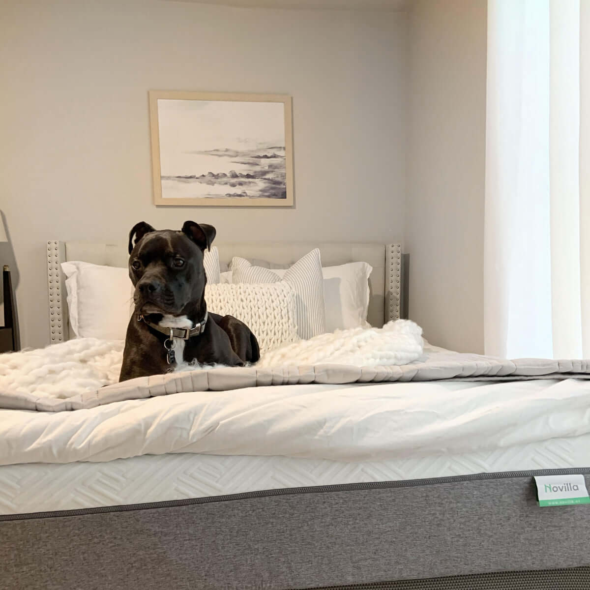 How to Deodorize a Mattress