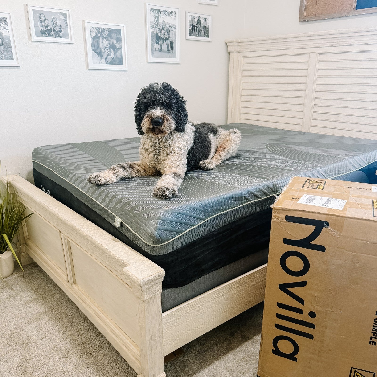 Comfort Mattresses | All Sizes & Types | Up to 40% Off | Novilla