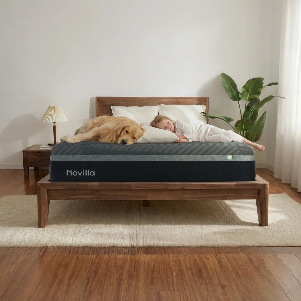 How To Choose a Mattress: Comprehensive Buyer's Guide [2026]