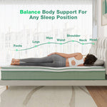 Oasis hybrid mattress: Balanced body support for all sleep positions. Illustrates support for feet, legs, hips, waist, shoulder, neck, head.