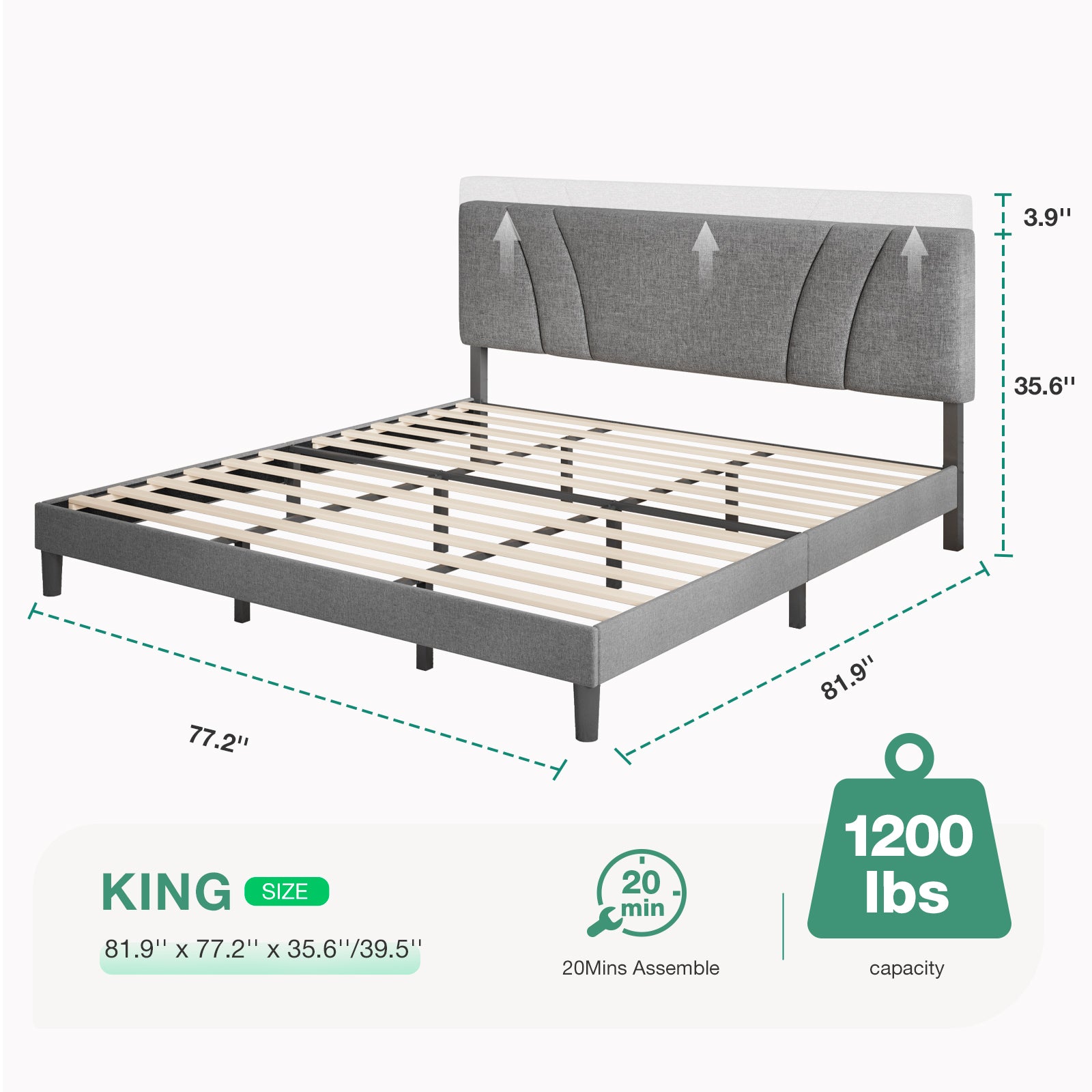 #Light Grey_King